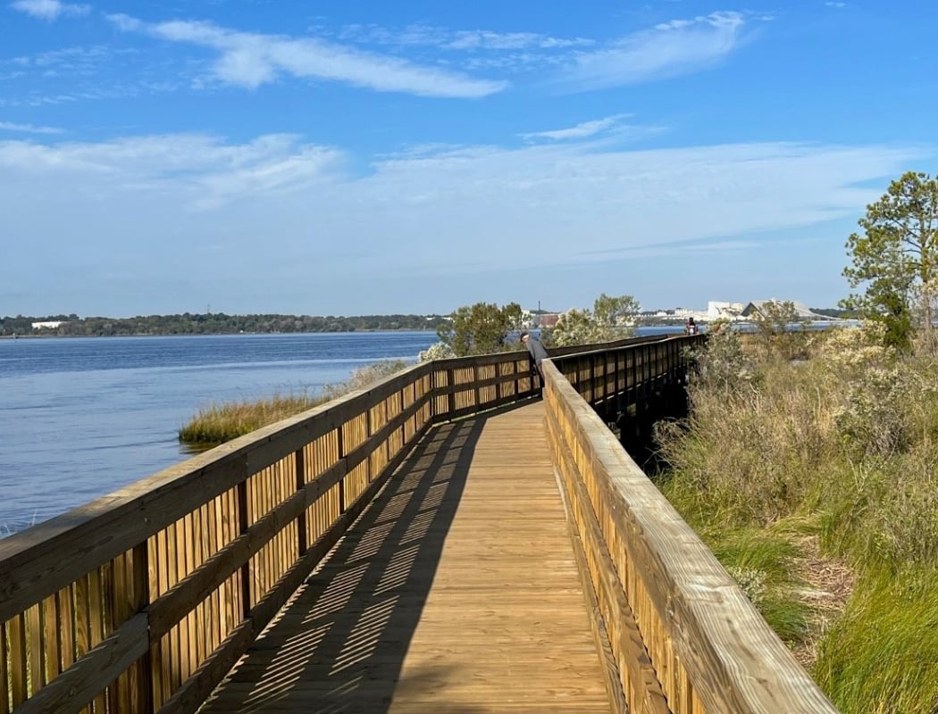 Blue Cypress Park Cleanup with Rising Tides 2